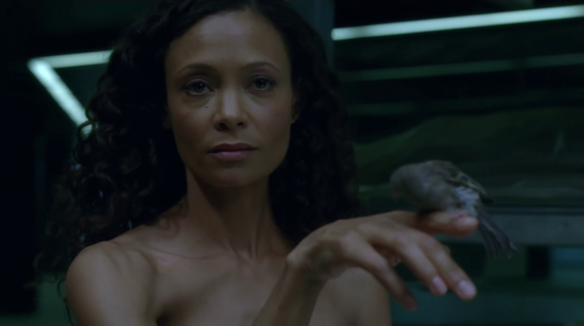 hbos-westworld-season-1-episode-5-maeve-and-the-sparrow